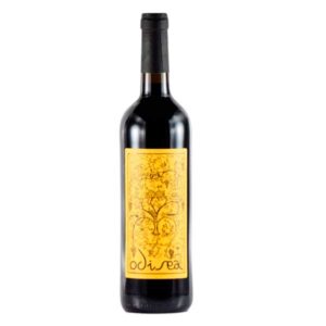 Odisea Roble 2024