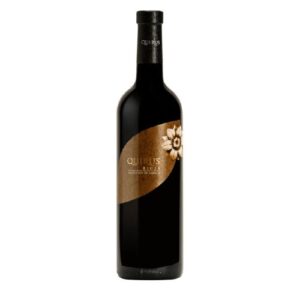 Quirus Selección de la Familia 2017