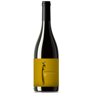 Falcata SM Blanc 2024